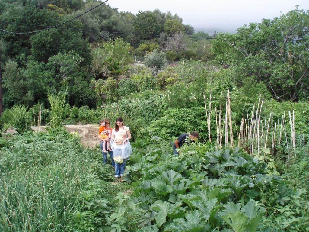 Marinos Studios At Lourdata Village Extérieur photo