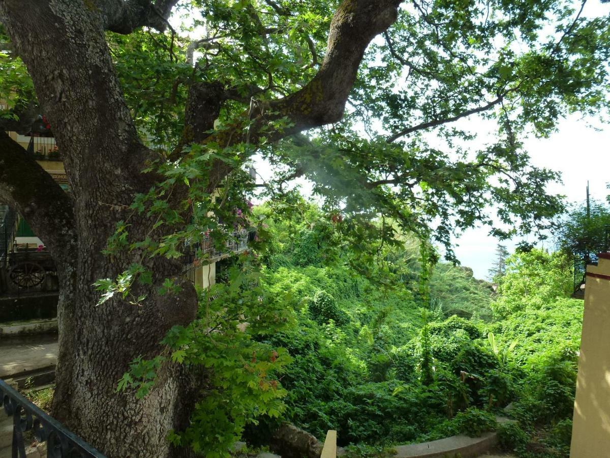 Marinos Studios At Lourdata Village Extérieur photo